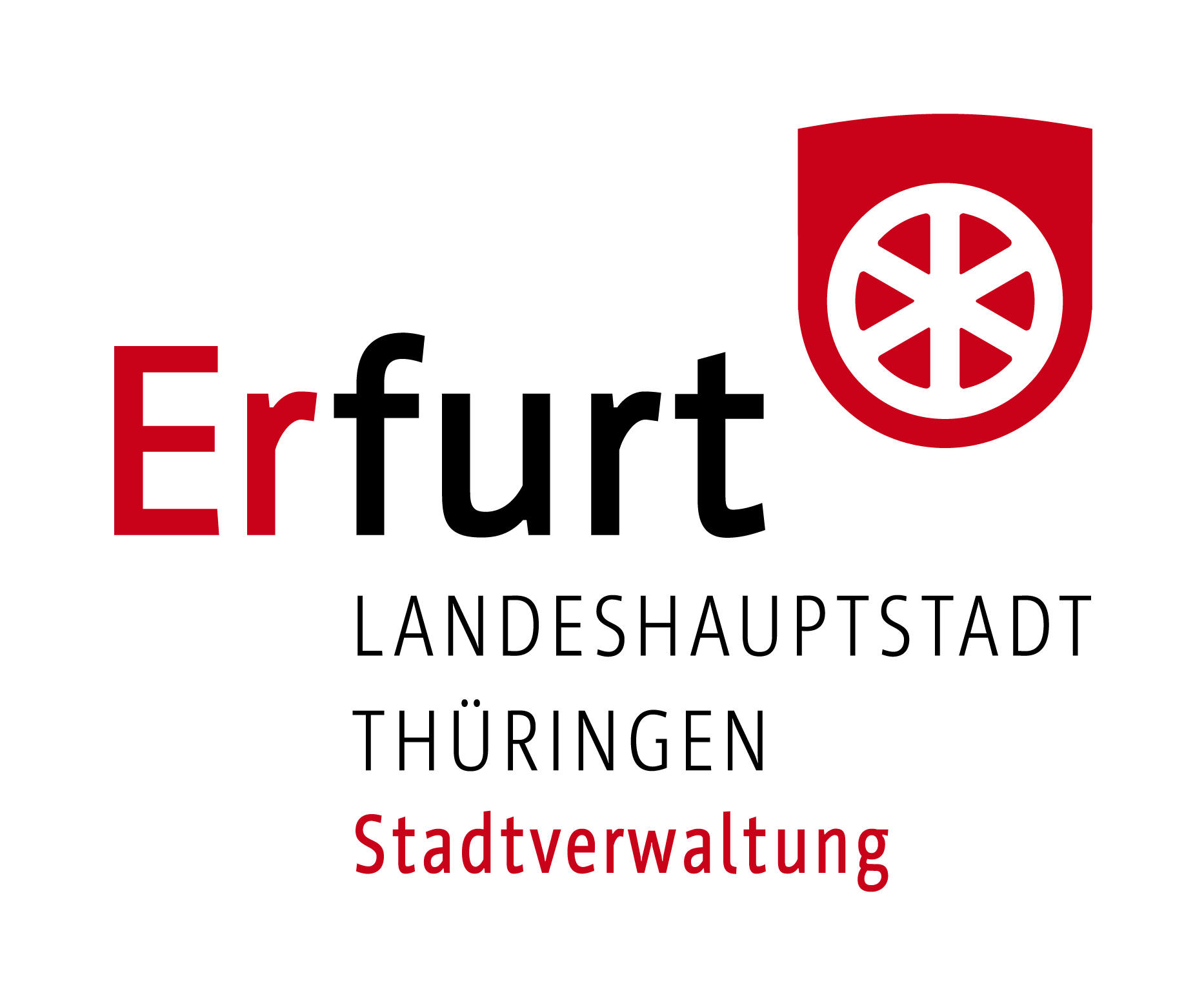 Logo Amt 50